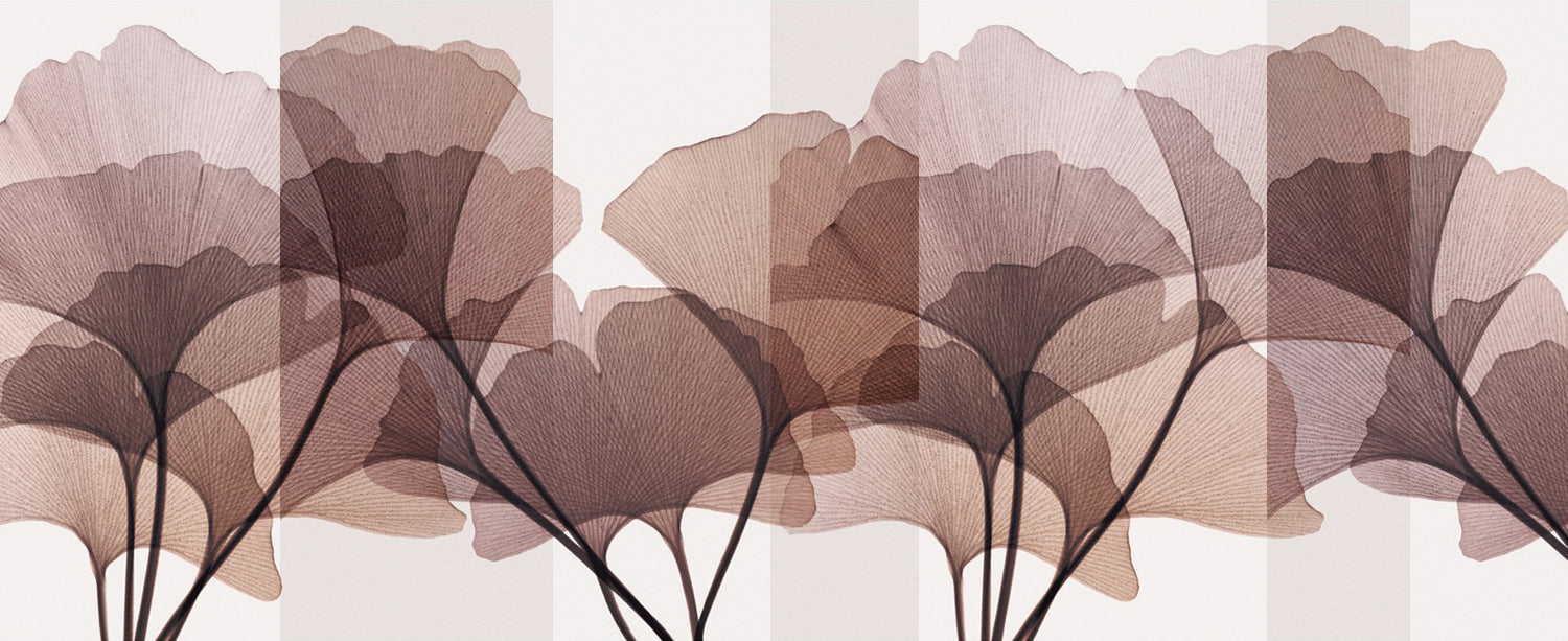 steven_meyers_cover.jpg?v=