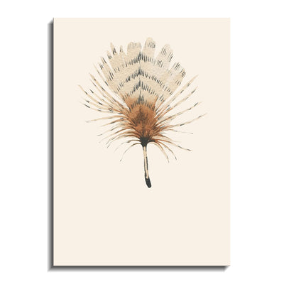 Feather 06