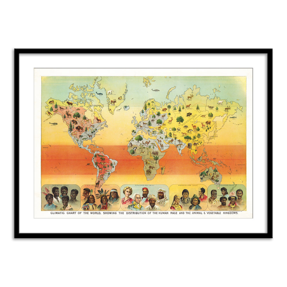 Climatic Chart of the World [1893]