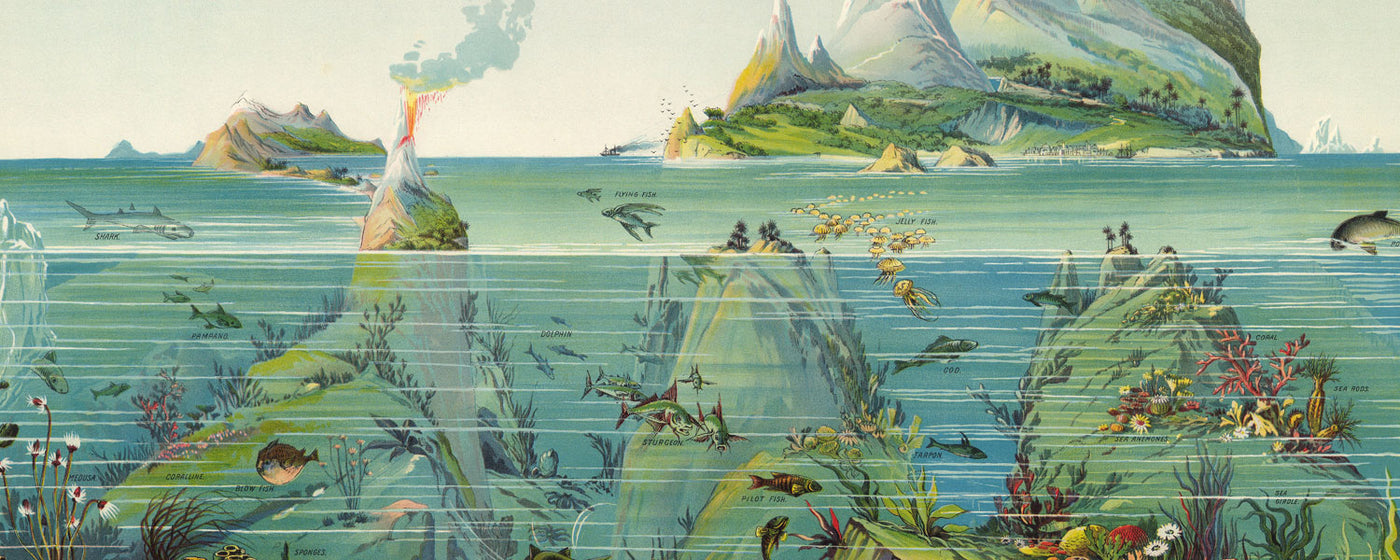 Illustrations for Children