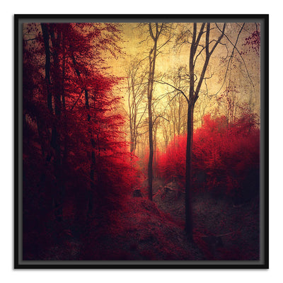 Ruby Red Forest