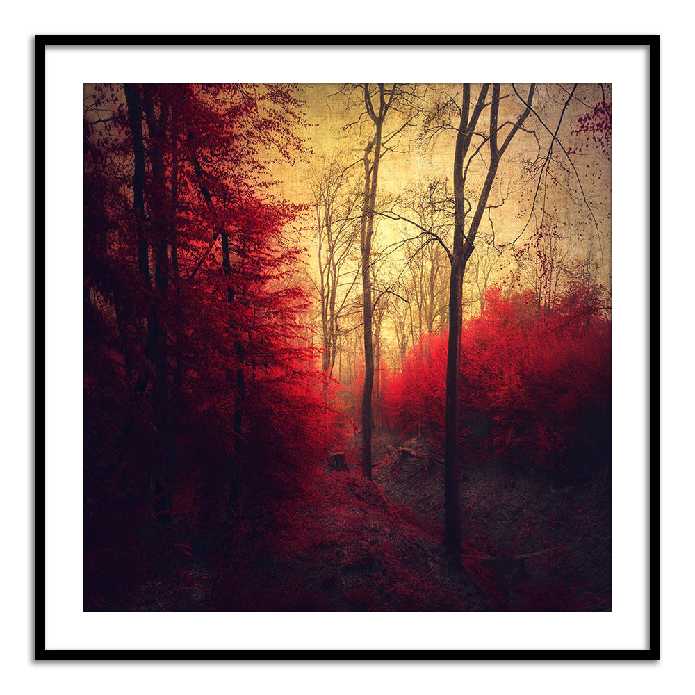 Ruby Red Forest