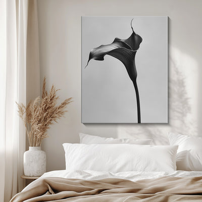 Black Calla - III