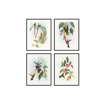 Birds II (Set of 4)