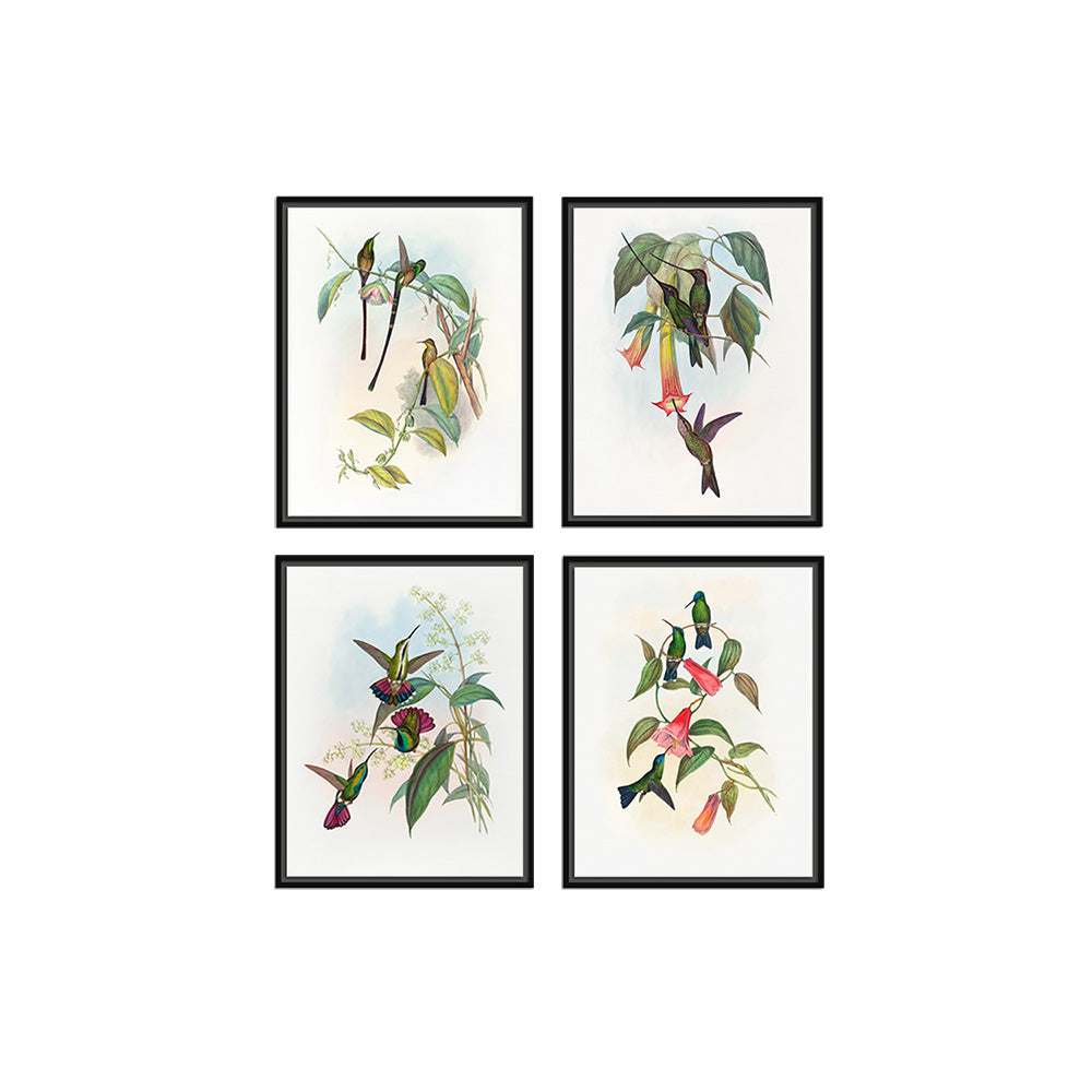 Birds II (Set of 4)