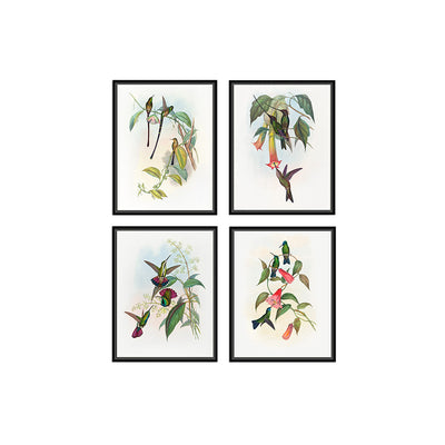 Birds II (Set of 4)