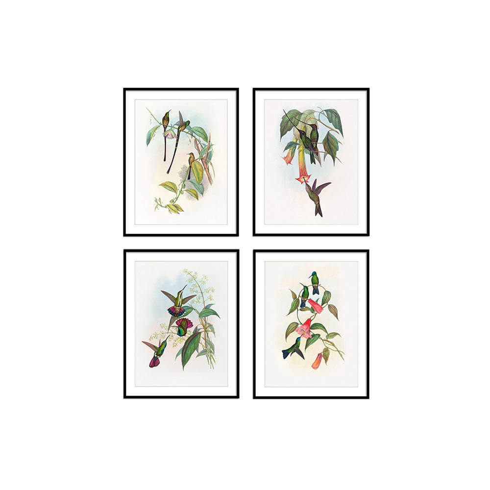 Birds II (Set of 4)