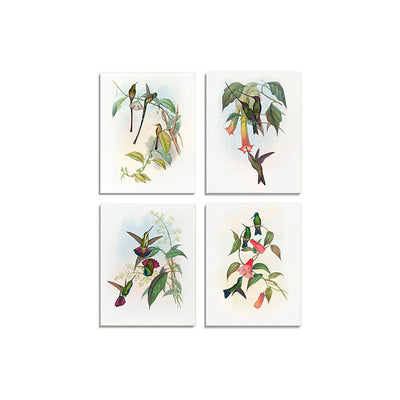 Birds II (Set of 4)