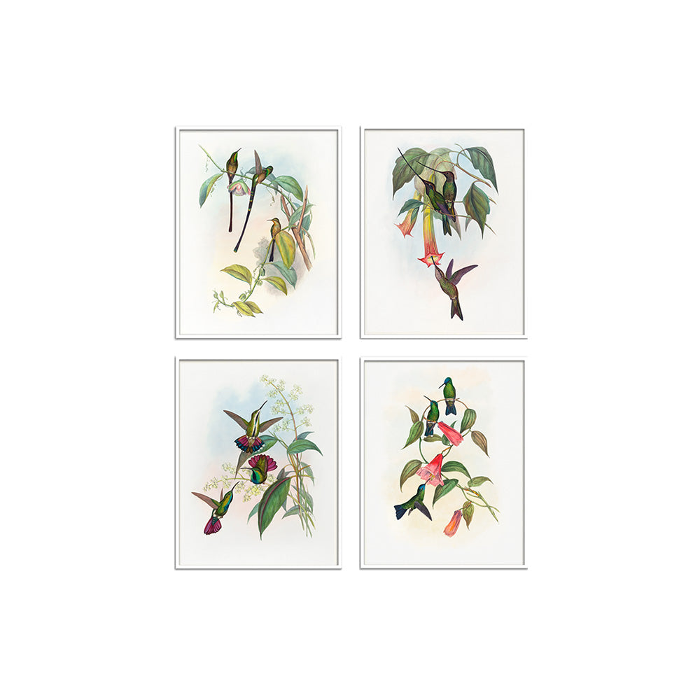 Birds II (Set of 4)