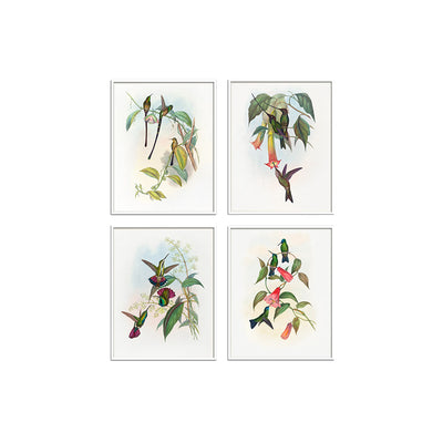 Birds II (Set of 4)