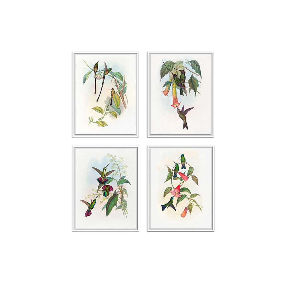 Birds II (Set of 4)