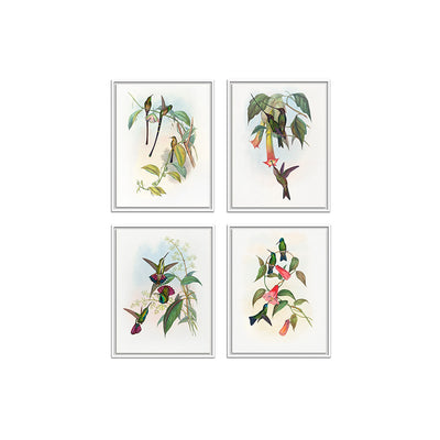 Birds II (Set of 4)