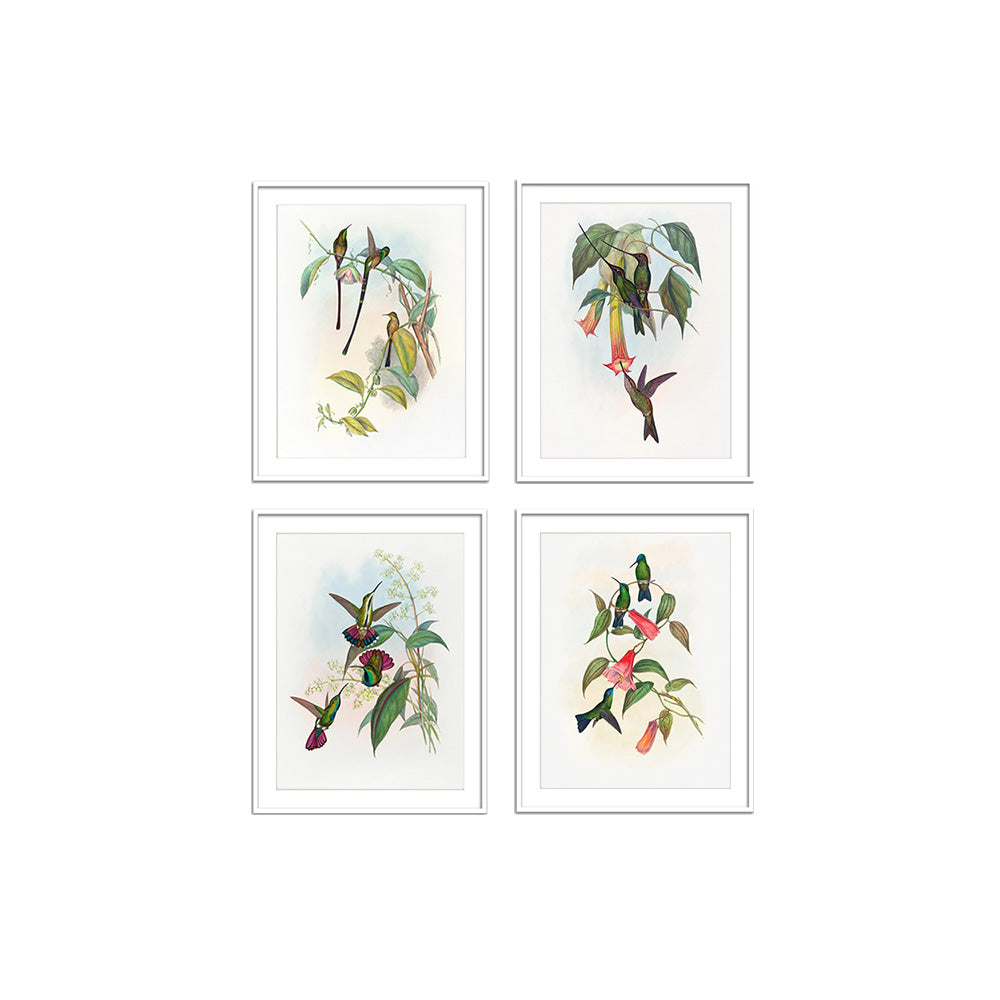 Birds II (Set of 4)