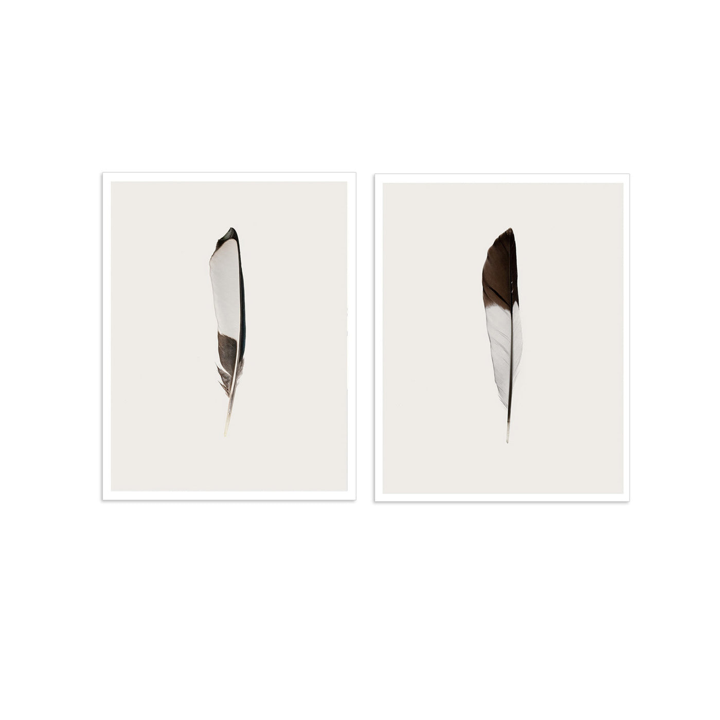 SALE - Feathers (Set of 2)