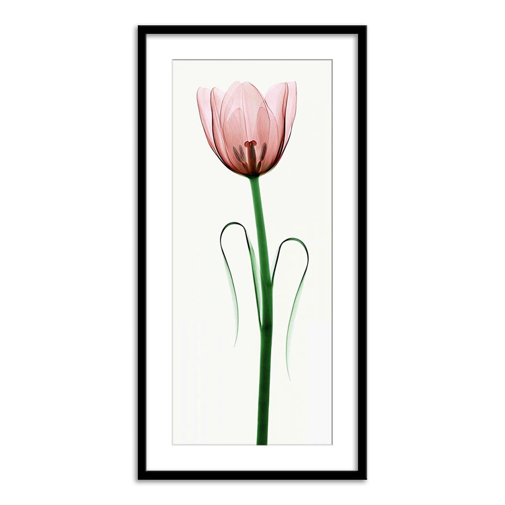 Tulip I