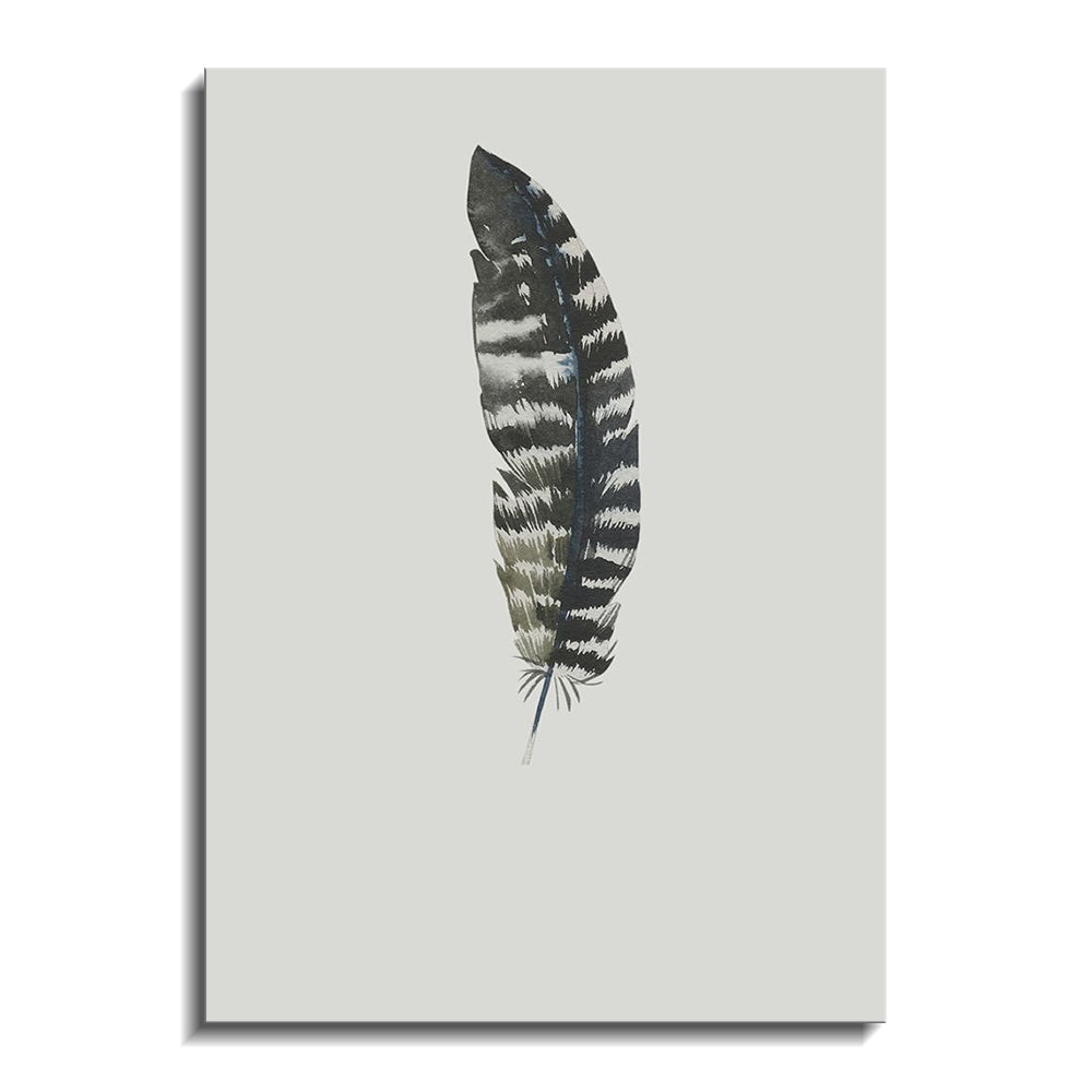 Feather 05