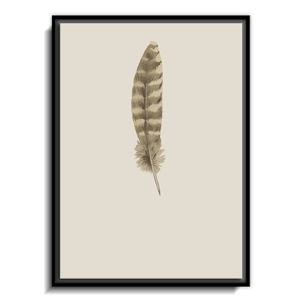 Feather 07