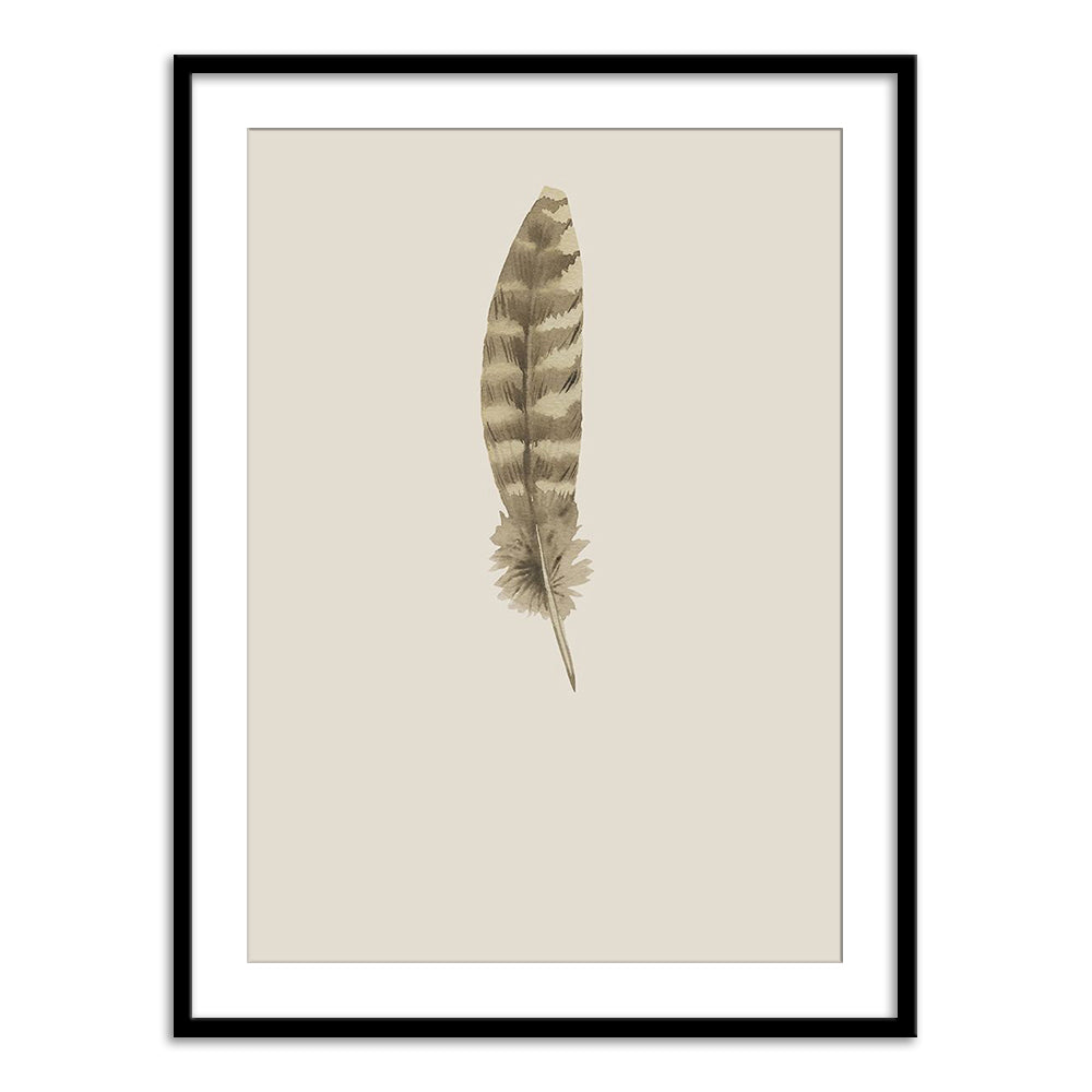 Feather 07