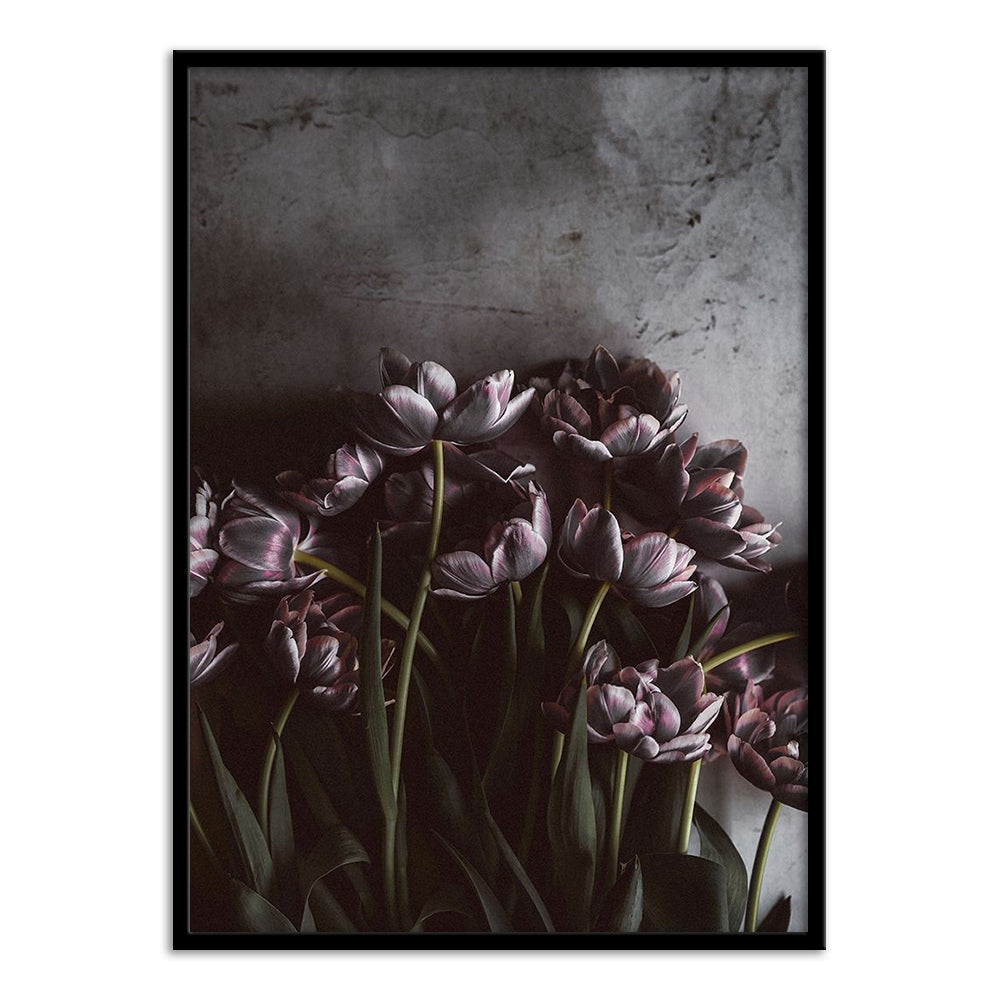 Dark Tulips