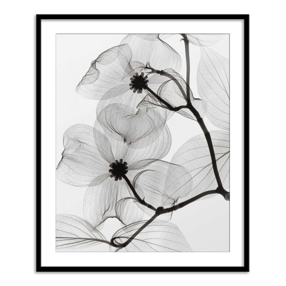 Steven N Meyers – Calcuttan