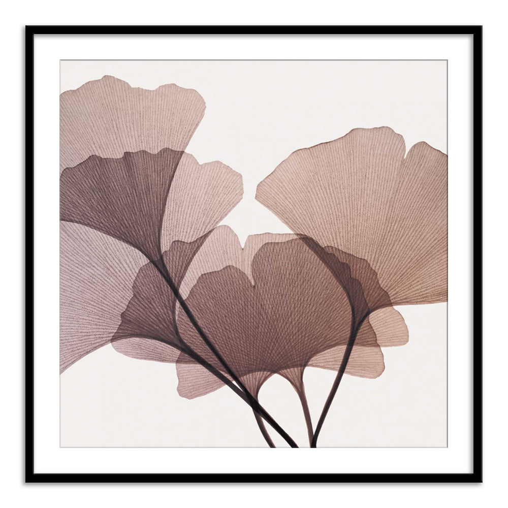 Steven N Meyers – Calcuttan