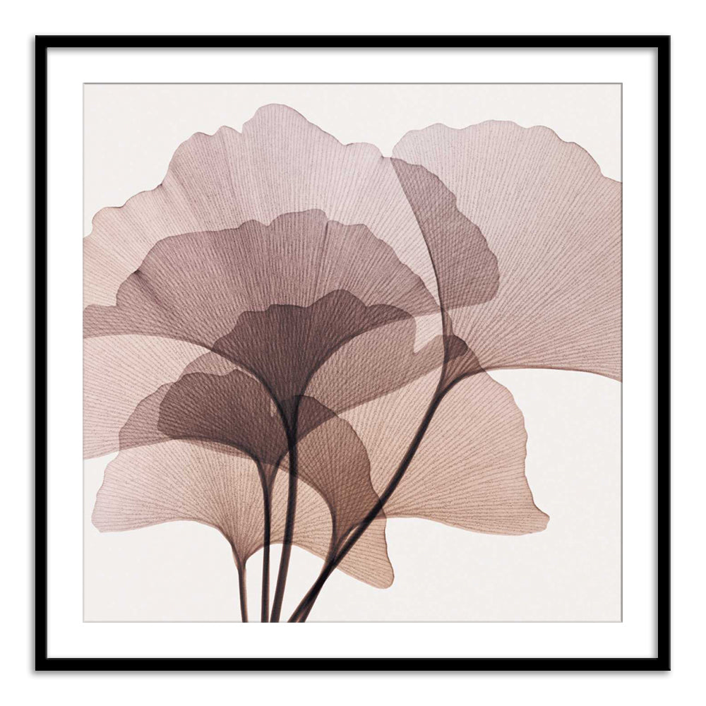 Steven N Meyers – Calcuttan